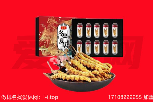 丰台区回收虫草.jpg
